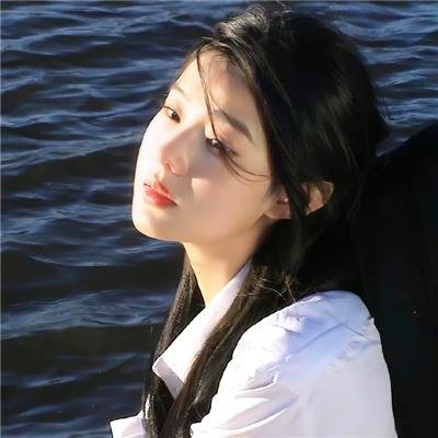 狮子护卫队第一季